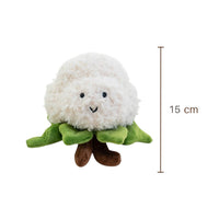 Kawaii groente knuffel schattige bloemkool
