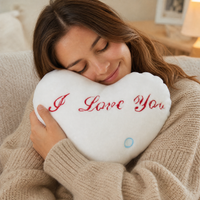 Hart knuffelkussen I Love You