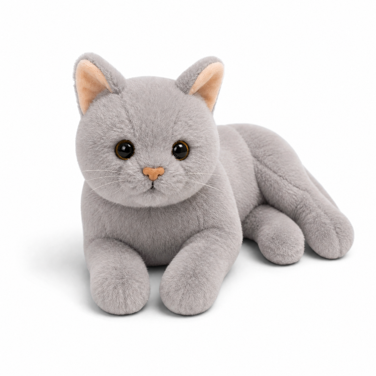 Liggende grijze kat knuffel