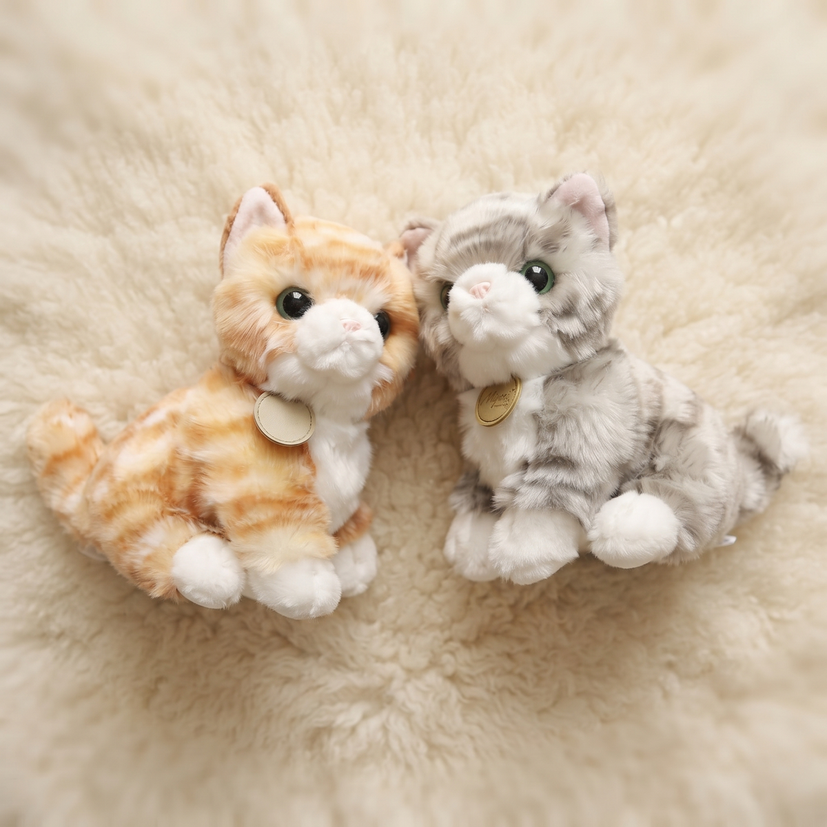 Kitten knuffel met grote glanzende ogen