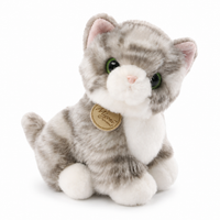 Kitten knuffel met grote glanzende ogen