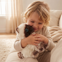 Siamese kitten knuffel met blauwe ogen