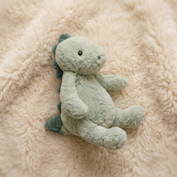 Ultrazachte groene dinosaurus knuffel 22 cm