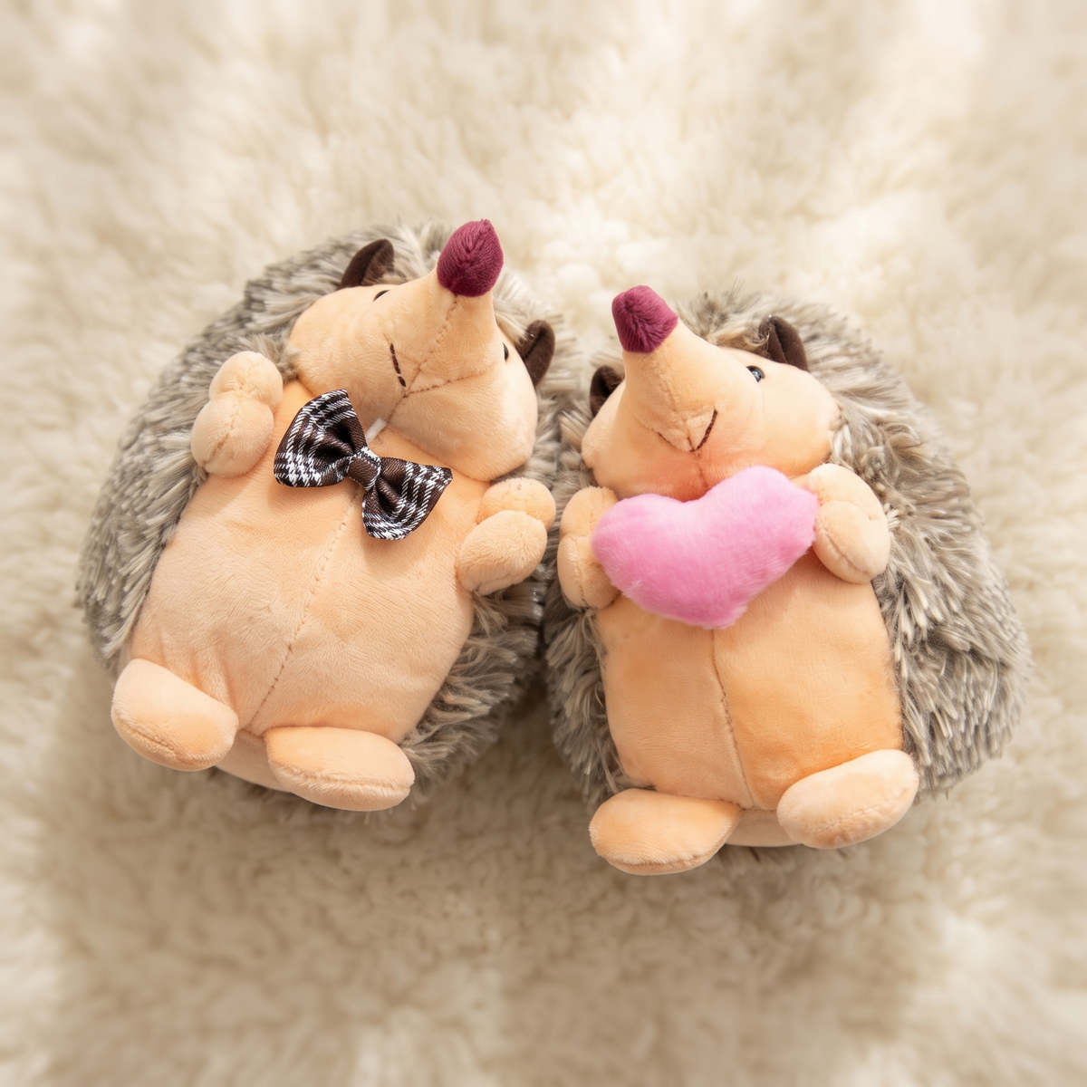 Verliefd egelpaar knuffel