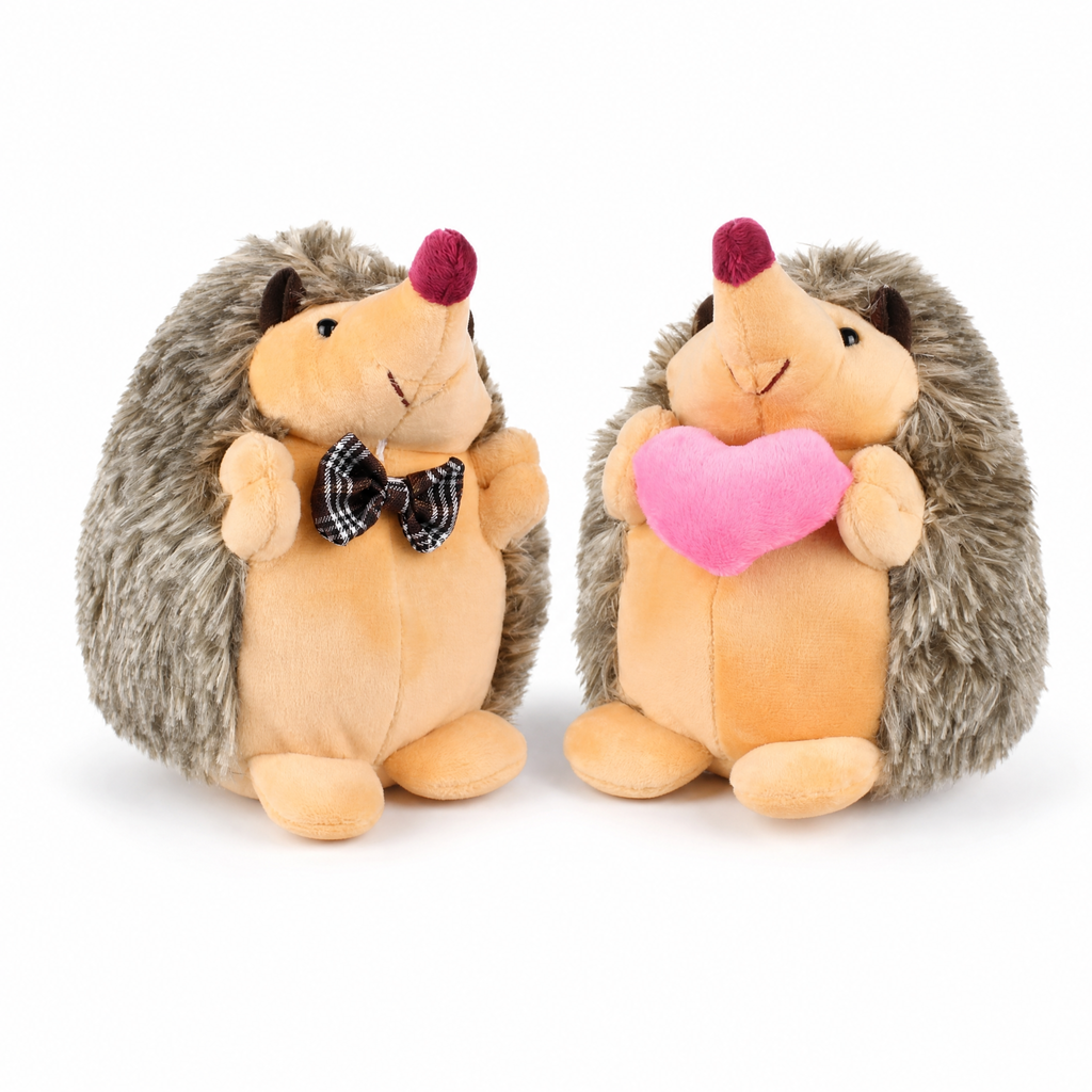 Verliefd egelpaar knuffel