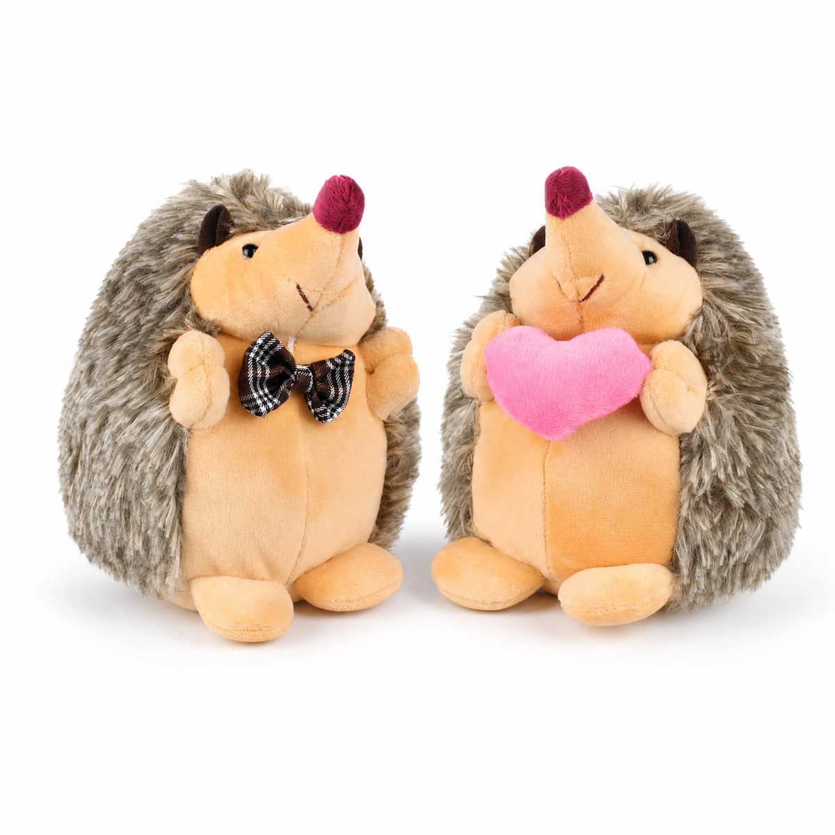 Verliefd egelpaar knuffel