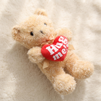 Knuffelbeer knuffel met hart Hug Me